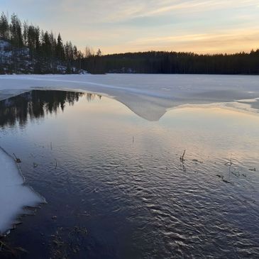 Talvimaisema järvestä