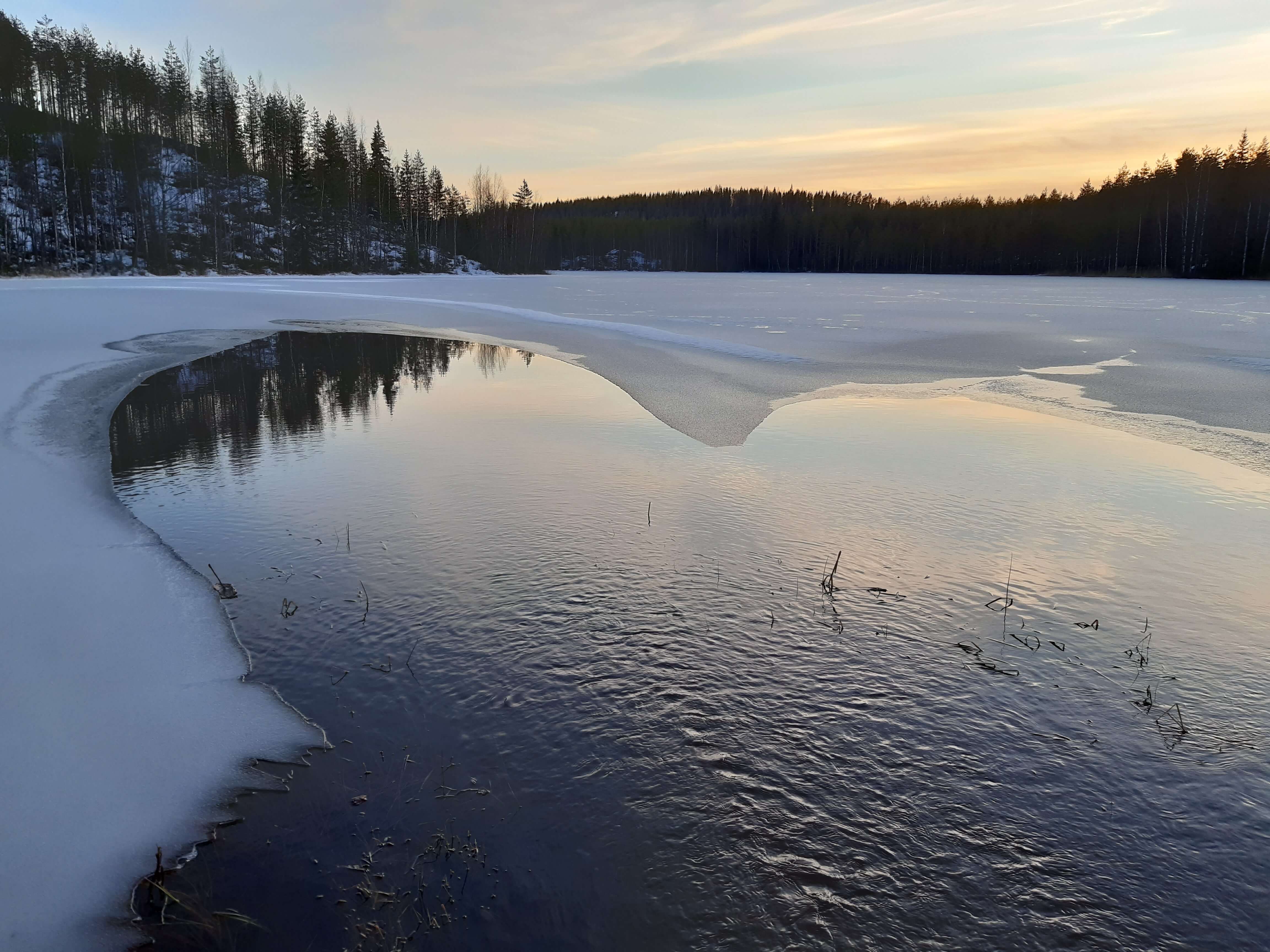 Talvimaisema järvestä